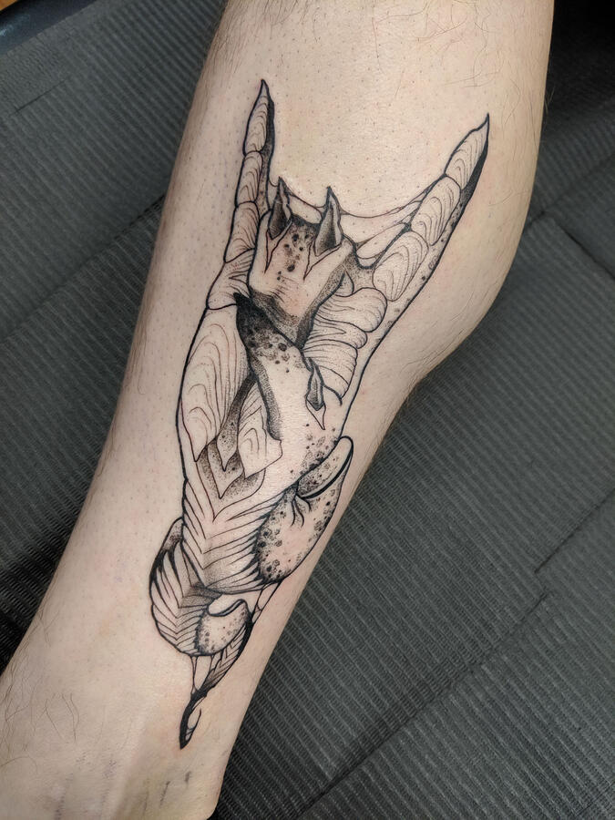 extraterrestrial // hand // ritual